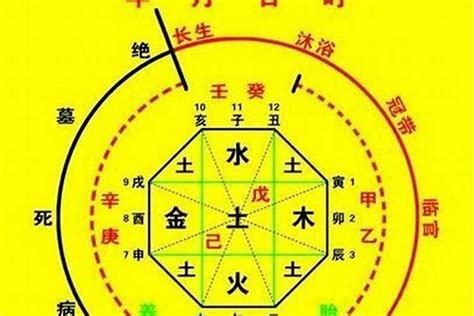 八字 十神|八字算命基礎——十神詳解